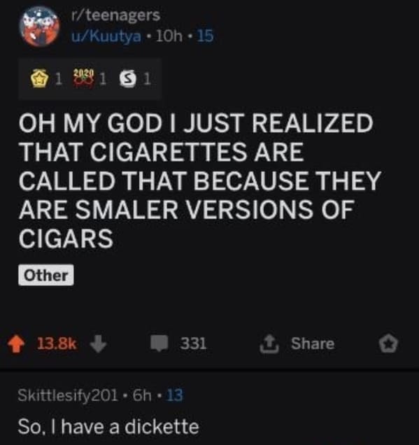 funny roasts - Oh My God I Just Realized That Cigarettes Are Called That Because They Are Smaller Versions Of Cigars - So, I have a dickette
