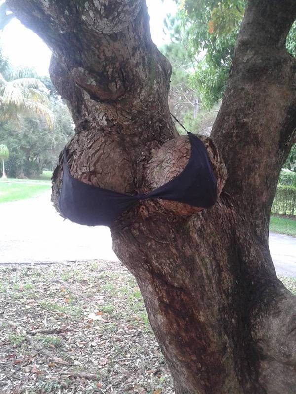 37 Dirty Pics to Pollute Your Mind.
