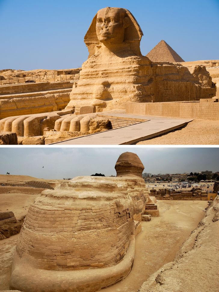 This stunning piece of art is commonly known for its front with the head and the paws. Actually, a Sphinx is a mythical creature with the head of a human, a falcon, a cat, or a sheep and the body of a lion with the wings of an eagle.

The sculpture by itself measures 73 m (240 ft) long and it has a pretty long tail.