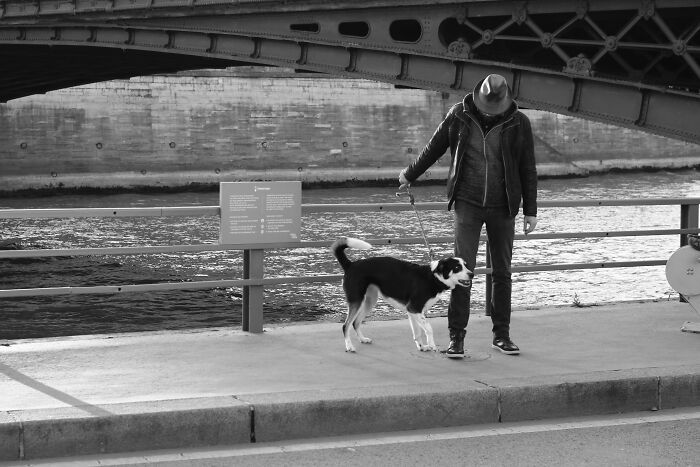 social etiquette rules - person walking dog outside