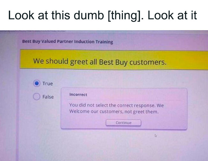 ironing - Look at this dumb thing. Look at it Best Buy Valued Partner Induction Training We should greet all Best Buy customers. True False Incorrect You did not select the correct response. We Welcome our customers, not greet them. Continue