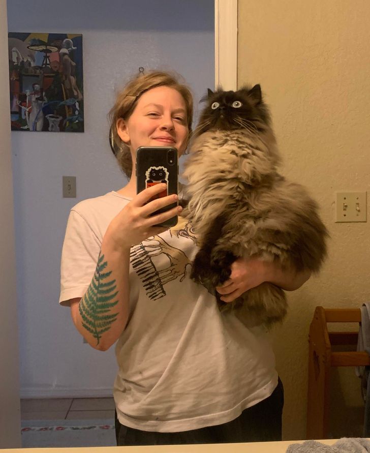 The cat’s name is Noodles, and it looks like something scared him — luckily, his human captured a beautiful face right in time.