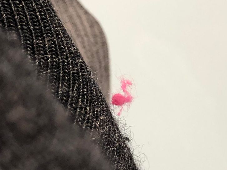 “The fuzz on my sock looks like a flamingo.”