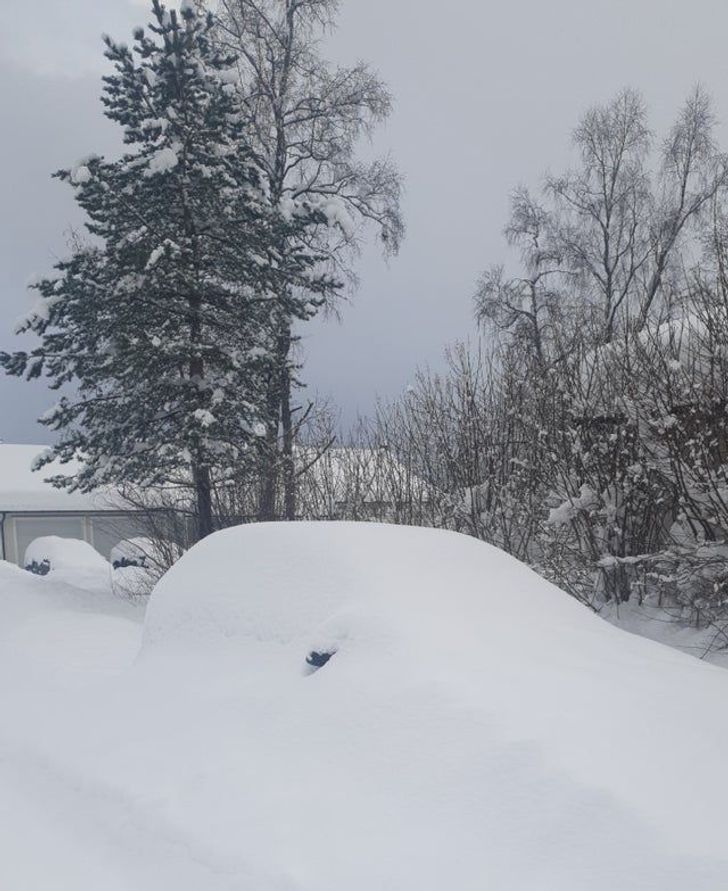 “This is my car. I live in northern Norway.”