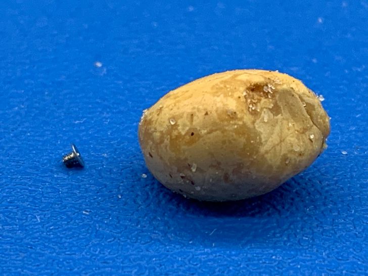 “An iPhone screw next to a peanut that looks like a potato for some reason.”