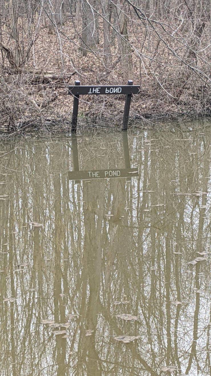 “This sign at a local nature preserve has the words inverted so you can read it in the water.”