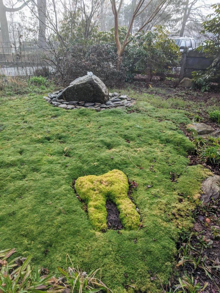 “Molar in Moss outside my Dentists' Office.”