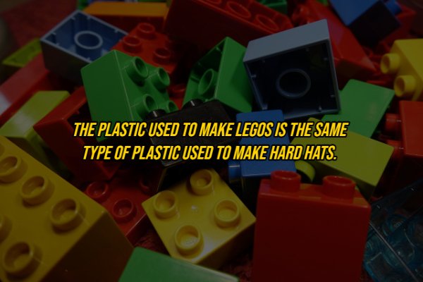 20 Useless Facts You Need to Know For No Reason at All.