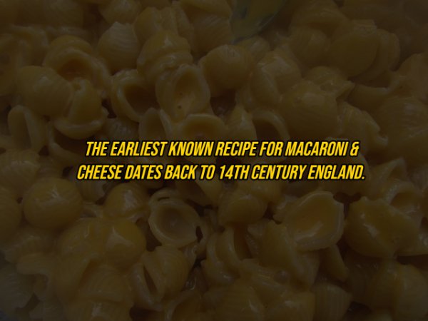 20 Useless Facts You Need to Know For No Reason at All.