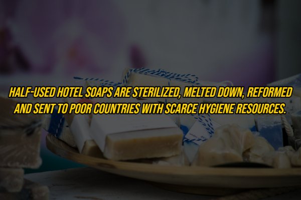 20 Useless Facts You Need to Know For No Reason at All.