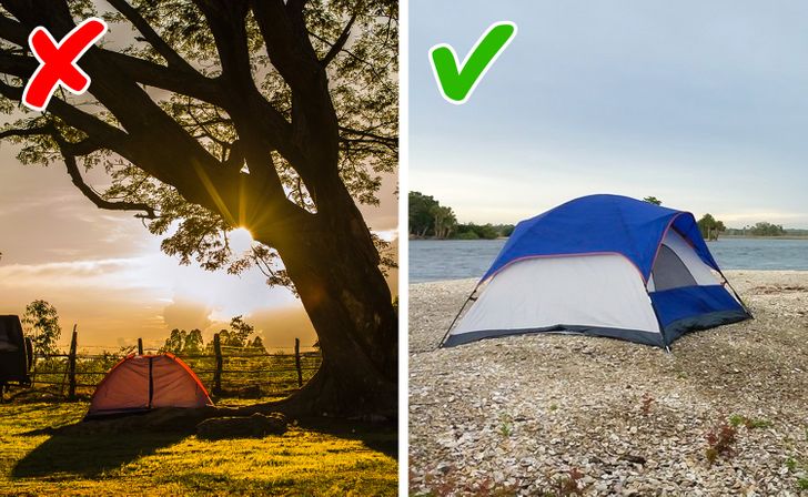 life-saving tips - danger of pitching a tent under a tree