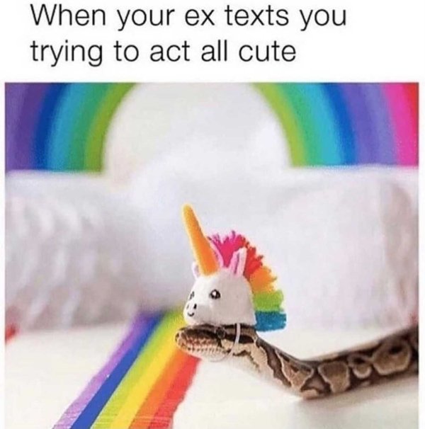 30 Memes About Hated Exes.