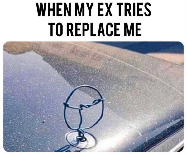 30 Memes About Hated Exes.
