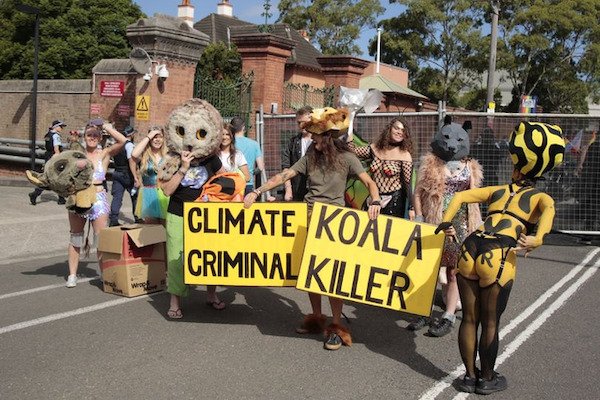 funny spelling fails - Climate Koala Criminal Killer