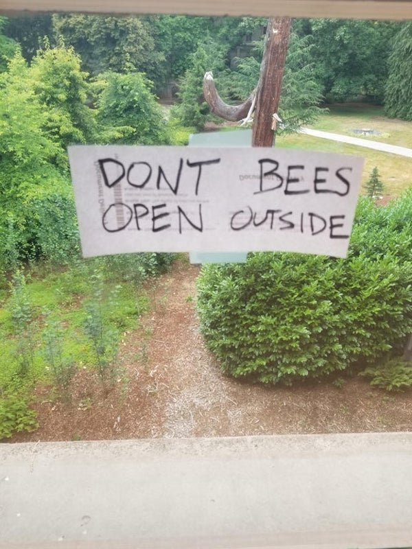 funny spelling fails - Dont Bees Open Outside