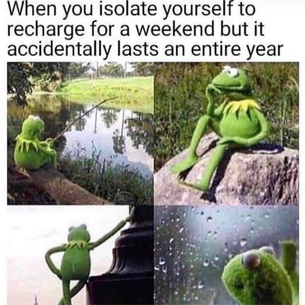 kermit meme fr - When you isolate yourself to recharge for a weekend but it accidentally lasts an entire year