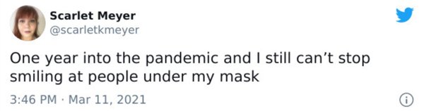 you worried about the wrong meme - Scarlet Meyer One year into the pandemic and I still can't stop smiling at people under my mask 0