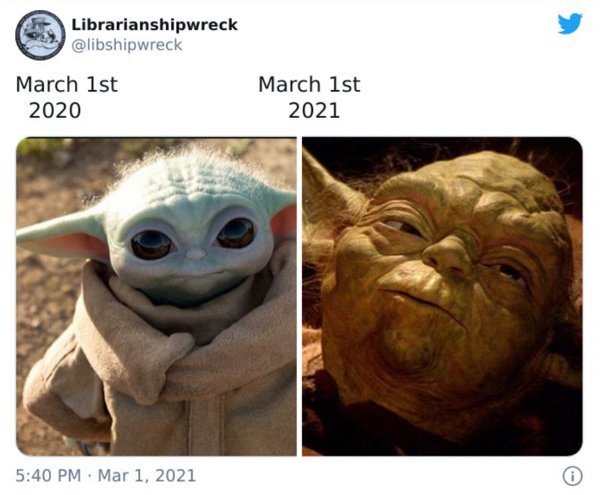 head - Librarianshipwreck March 1st 2020 March 1st 2021