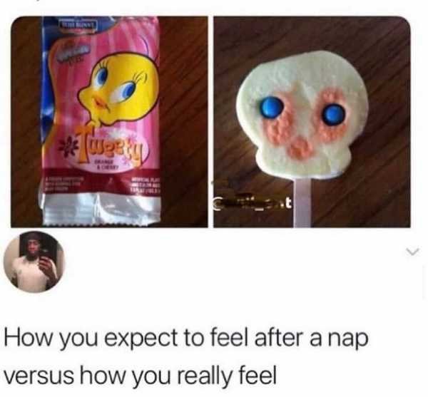 40 Funny Memes About Napping.