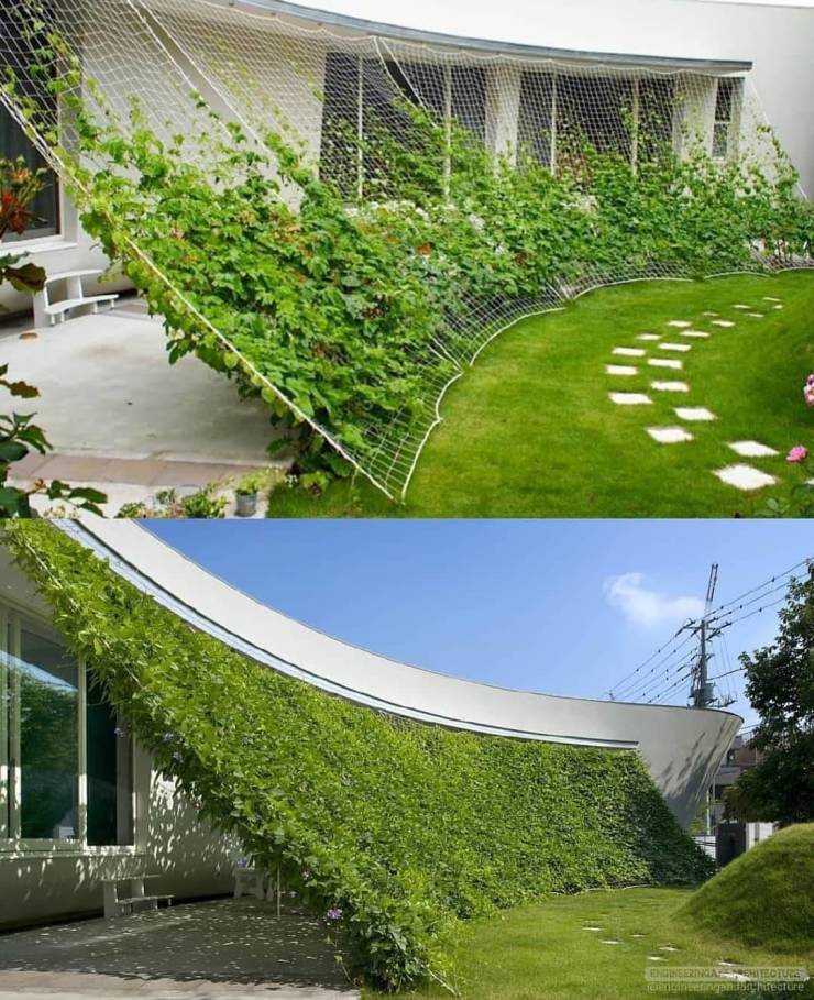 “GREEN SCREEN HOUSE Design by Hideo Kumaki Architect office.”