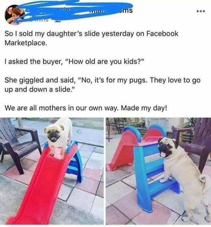 marketplace memes - oms So I sold my daughter's slide yesterday on Facebook Marketplace. I asked the buyer, "How old are you kids?" She giggled and said, "No, it's for my pugs. They love to go up and down a slide." We are all mothers in our own way. Made 