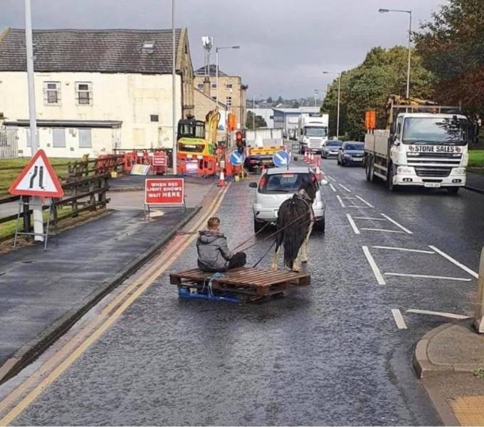 funny pics - horse pulling guy through street on pallet