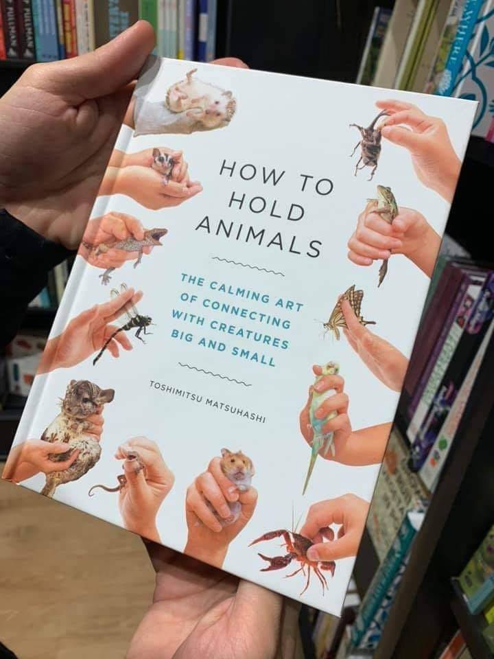 funny pics - how to hold animals book creepy