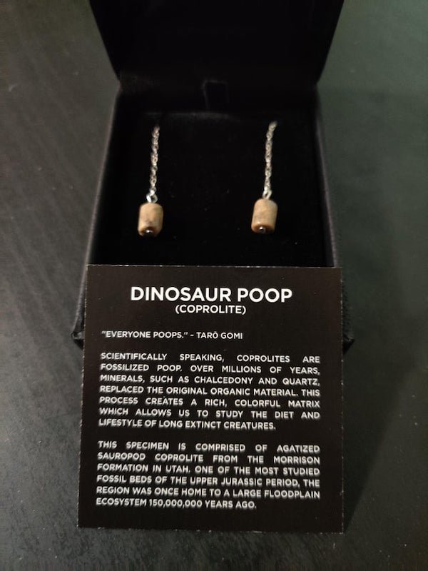 I told my husband I just wanted some “shitty earrings” for Christmas. He delivered…