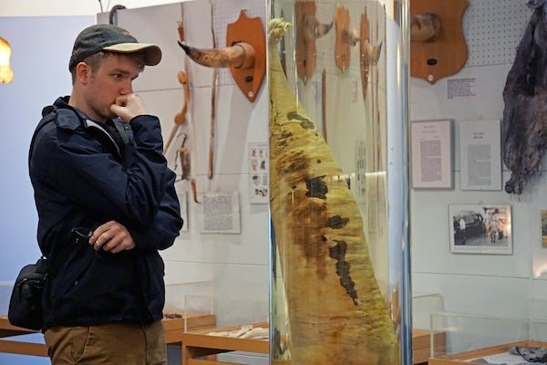 My wife got this pic of me staring incredulously at a whale dong in the Icelandic Phallological Museum