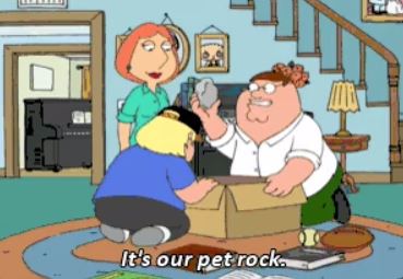funny 911 call stories - family guy pet rock