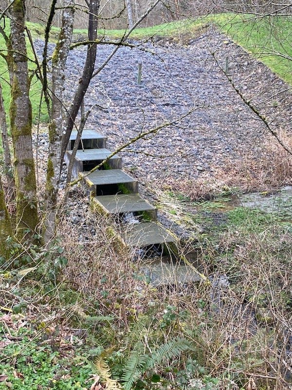 Found coming out of a small hill. Water alternates between either side, going down each step.

A: I believe this is the Lyon Creek – Cedar Way Stormwater Detention Dam. I contacted an engineer with the city because I was so curious about whether it was a fish ladder or not. They just got back to me and confirmed it is a fish ladder. They also sent an operation manual that includes some history and descriptions, very interesting.

4