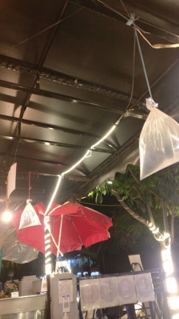 Hanging polythene bags filled with some liquid.

A: It’s an old wives take to keep flies away. The bags should a penny or similar coin inside. It apparently doesn’t work too well.