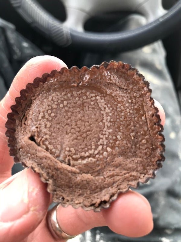 Little ring-shaped spots of something growing[?] on expired Reese’s Peanut Butter Cups.

A: Quite possibly “fat bloom” which is fat from the cocoa butter migrating to the surface of the chocolate. Can happen as chocolate ages or with a change in temperature.