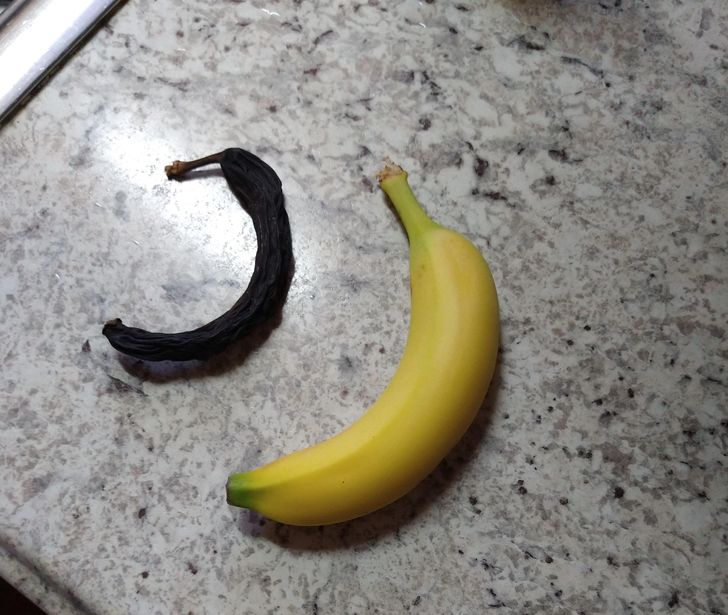 “My dad found a 20-year-old banana in his coat pocket.”