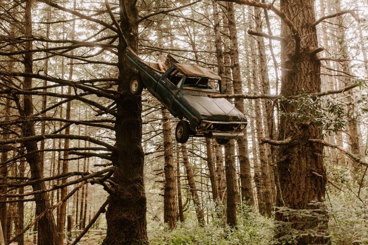 “This truck in a tree I found while driving through the woods”