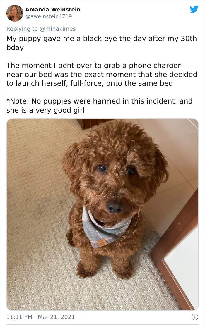 funny injury fails - My puppy gave me a black eye the day after my 30th bday The moment I bent over to grab a phone charger near our bed was the exact moment that she decided to launch herself, full force, onto the same bed Note No puppies were harmed in
