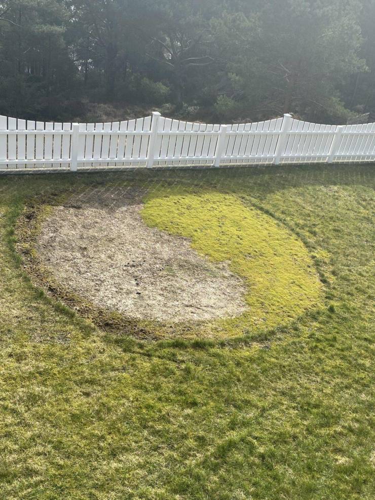 “My lawn made a natural yin yang symbol after a pool stood there.”