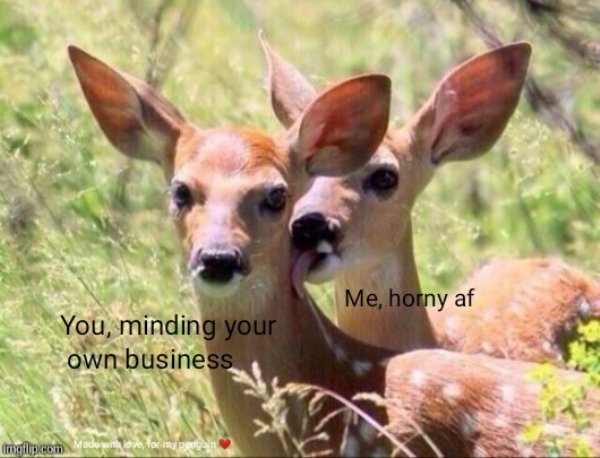 deer licking deer meme template - Me, horny af You, minding your own business ingilip.com Made with out for my pengan