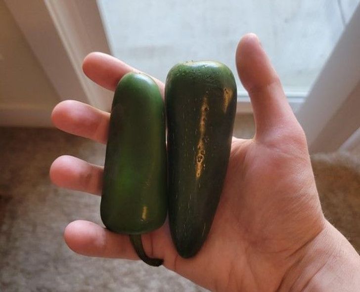 “Ordered 2 pounds of jalapeños for tonight’s dinner... Received 2 jalapeños instead.”