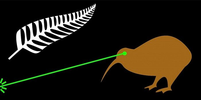 kiwi laser flag