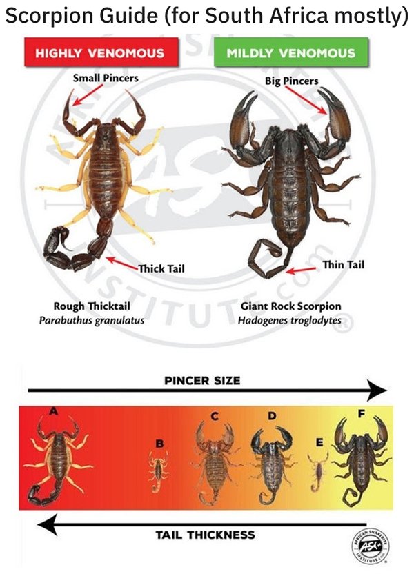 25 Charts Filled With Random Knowledge.