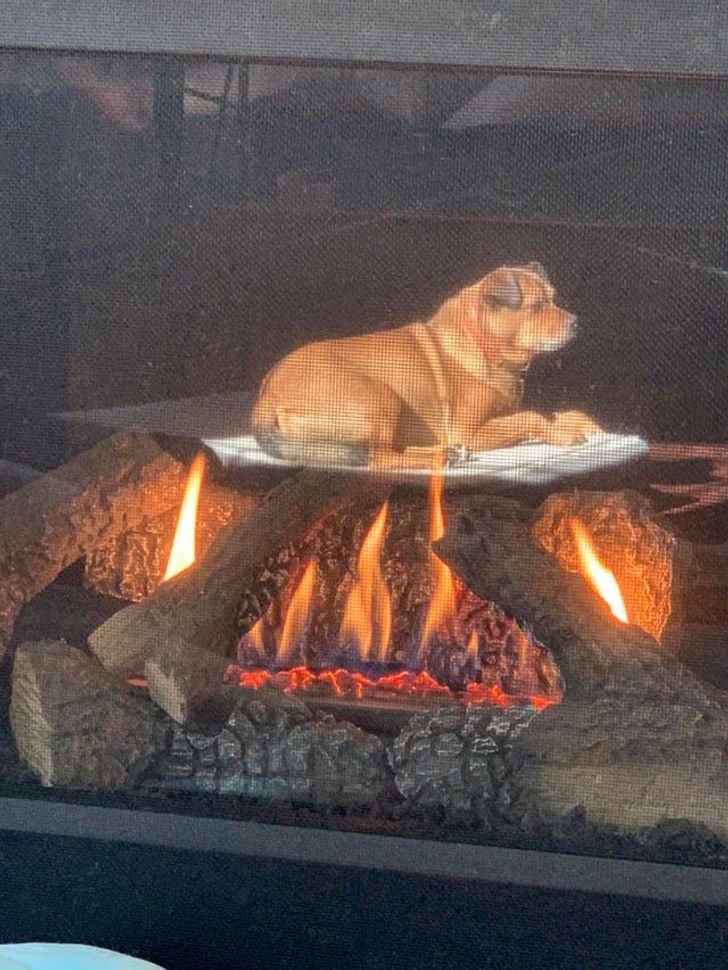 “Roasting my hot dog over an open flame”