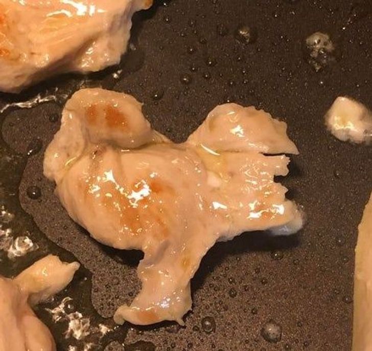 “My chicken looks like a chicken.”