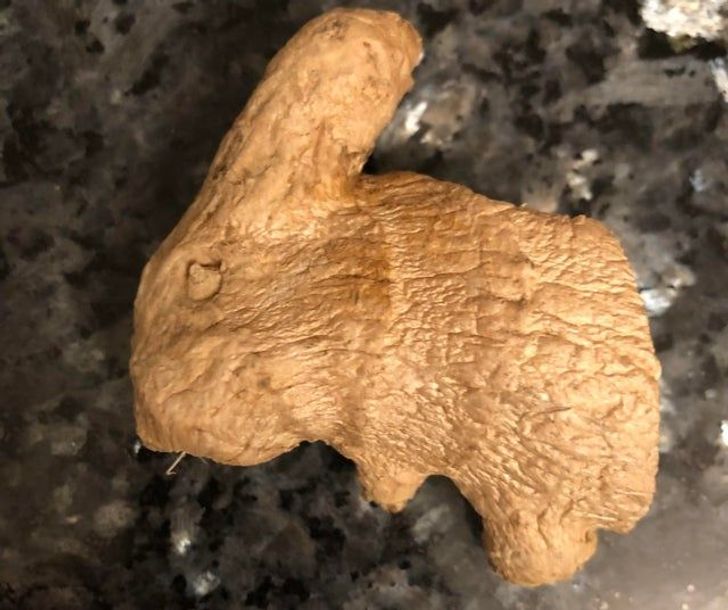 “This piece of ginger looks like a rabbit.”