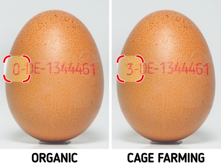 The digits on your eggs will tell you how it was produced.
