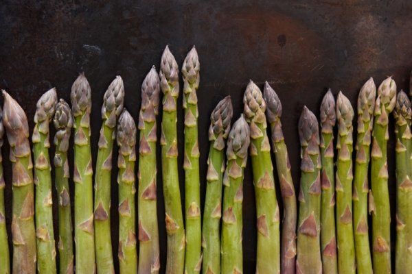 My amazing dad was at a dinner party that Barbara Bush was attending. He walked up with a plate of asparagus and stated quite profoundly, ‘this is what an alien dick looks like’ and walked off. I often wonder how much she thought about that statement.