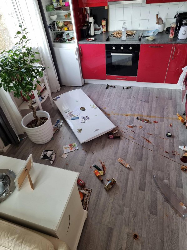 “Heard a big bang out of nowhere. Ran down the stairs to find the kitchen like this.”