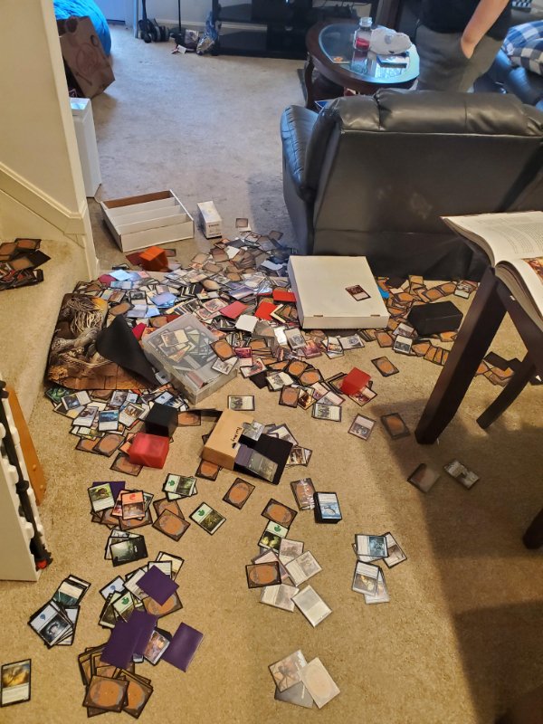 “Finished sorting my cards! And then I fell..”