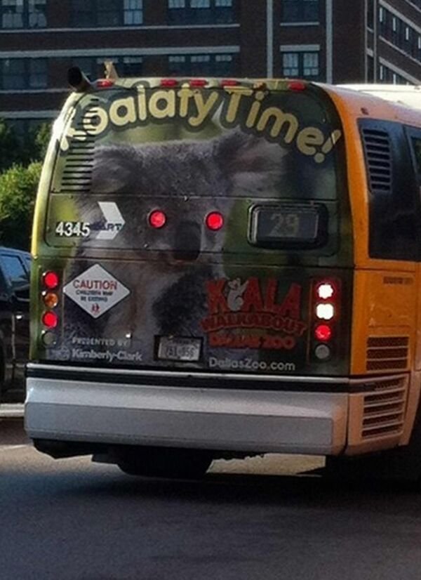 funny fails - koala bus ad creepy red lights eyes