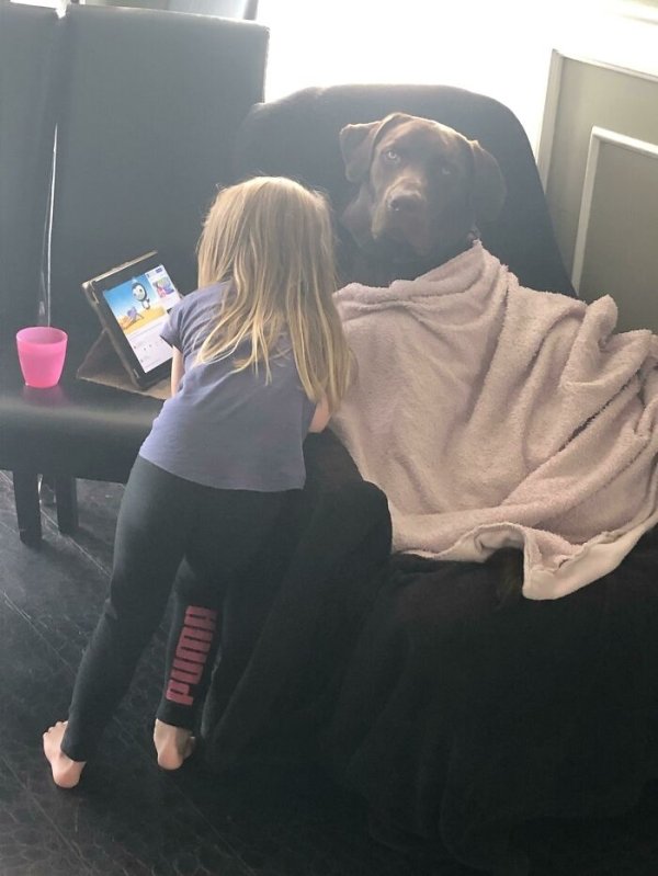 My little sister keeping my dog company after he puked.